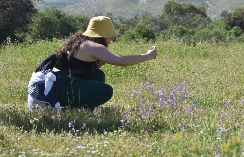 Ruta de los Petroglifos Tongoy