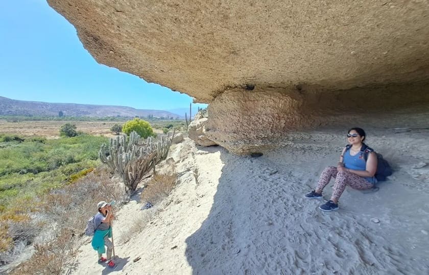 Ruta de los Petroglifos Tongoy