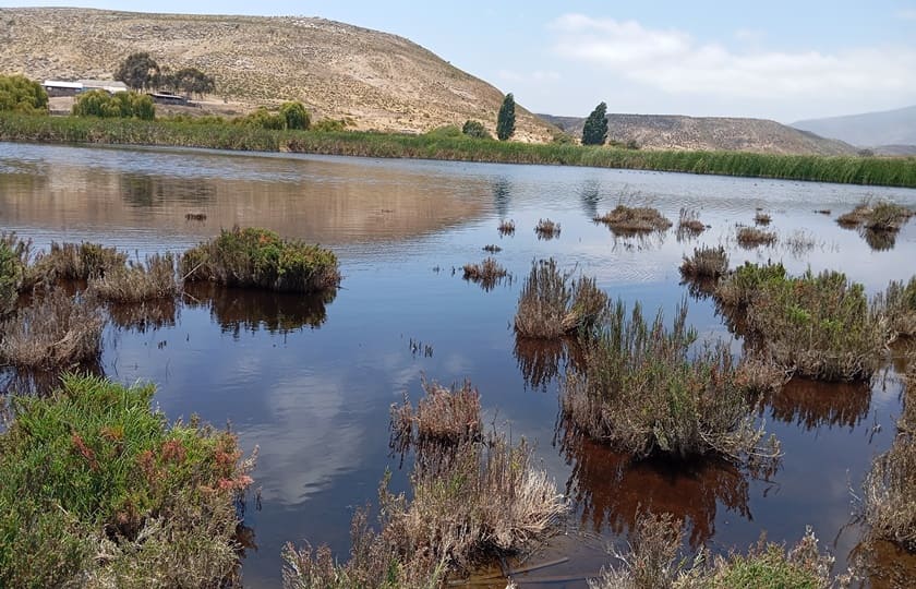 Ruta de los Petroglifos Tongoy
