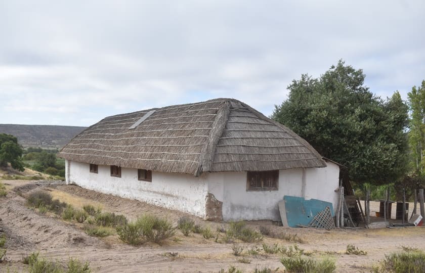 Ruta de los Petroglifos Tongoy