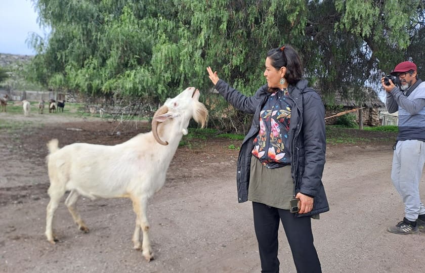 Ruta de los Petroglifos Tongoy