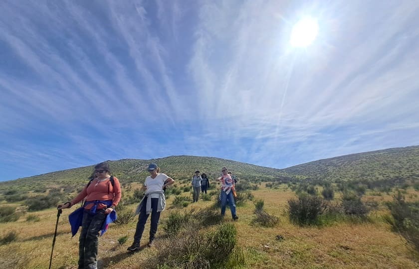 Ruta de los Petroglifos Tongoy