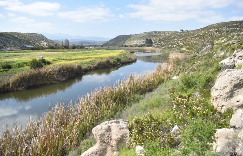 Ruta de los Petroglifos Tongoy
